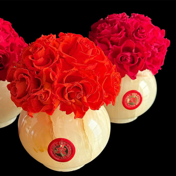 Three round rose arrangements in cream vases on a black background