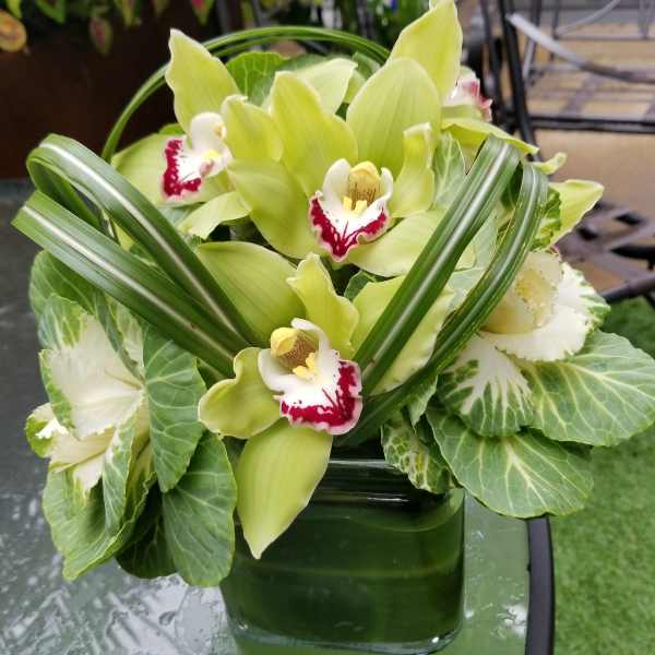 Green orchid arrangement in a dark glass vase
