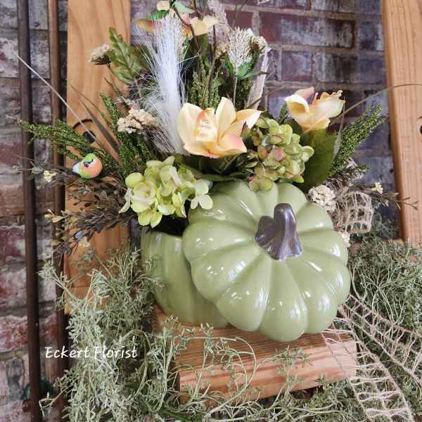 Eckert Florist's Permanent Botanical Green Pumpkin *LOCAL DELIVERY ONLY