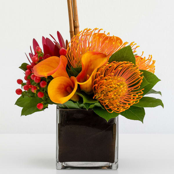 Orange calla lilies and pincushion protea in a square glass vase