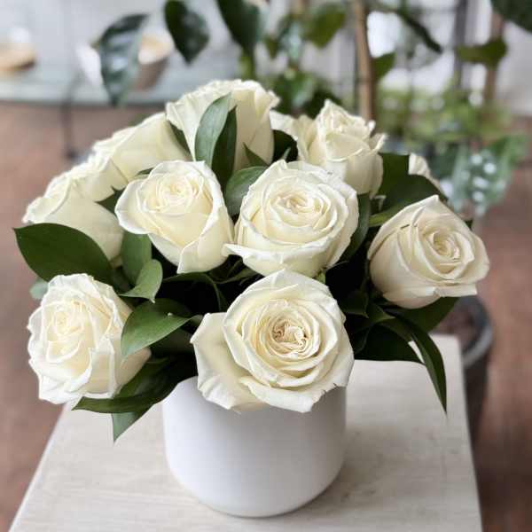White roses arranged in a white cylindrical vase with dark green leaves