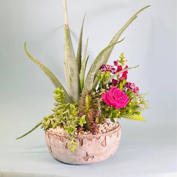Succulent arrangement with a pink rose in a round ceramic pot