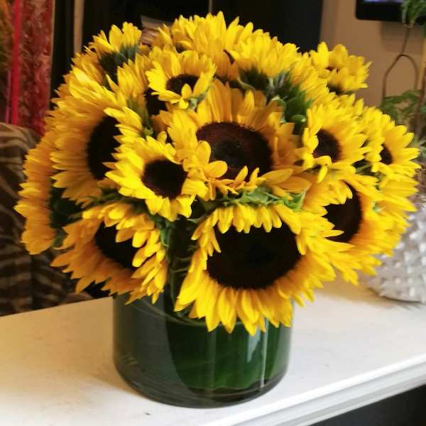 Bouquet of yellow sunflowers in a dark glass vase