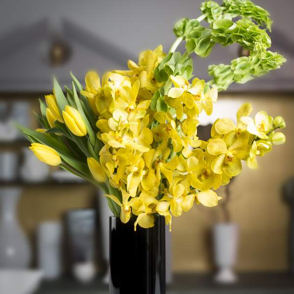 Yellow orchids and tulips in a tall black vase