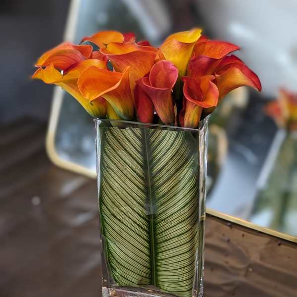 Orange and red calla lilies in a clear rectangular vase