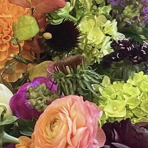 Colorful bouquet of mixed flowers including pink and orange blooms