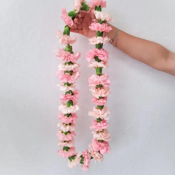 Pink and white carnation lei held by a hand