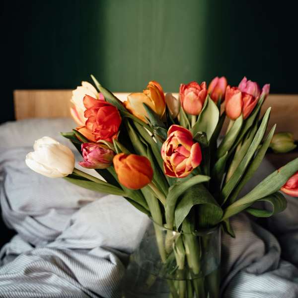 A glass vase of multicolored tulips on a bed