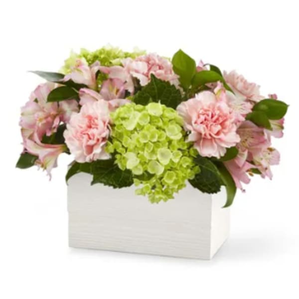 Pink flowers and green hydrangeas arranged in a white box
