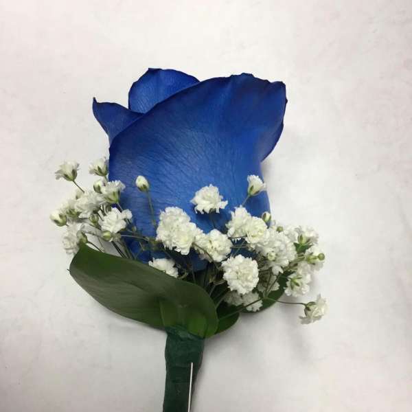 Blue rose boutonniere with white baby's breath