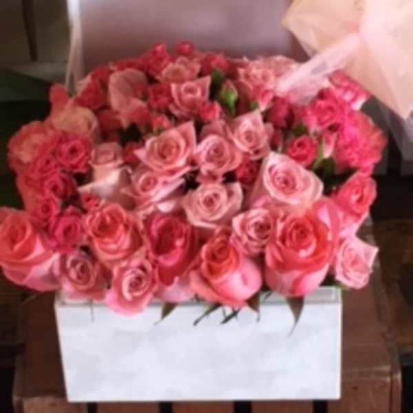 Box of pink roses with pale pink wrapping