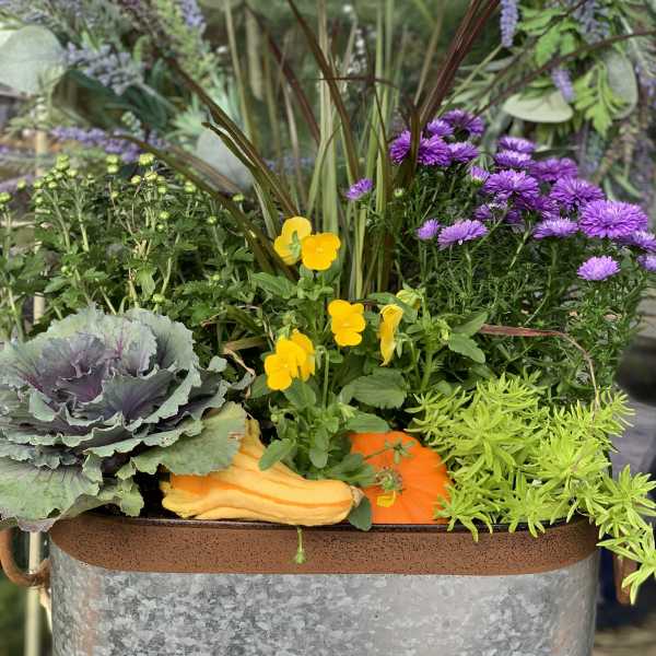 Classic Oval Fall Planter