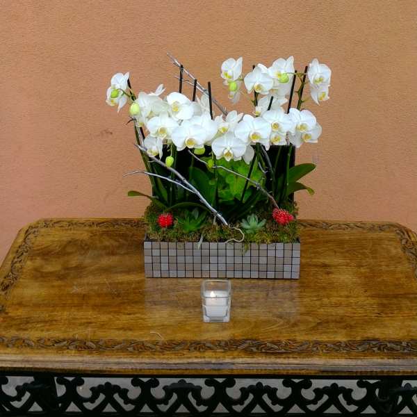 White orchids arranged in a rectangular mosaic planter on a table