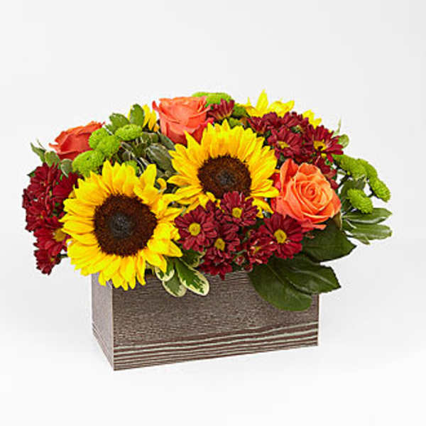 Eckert Florist's FTD Happy Harvest Bouquet