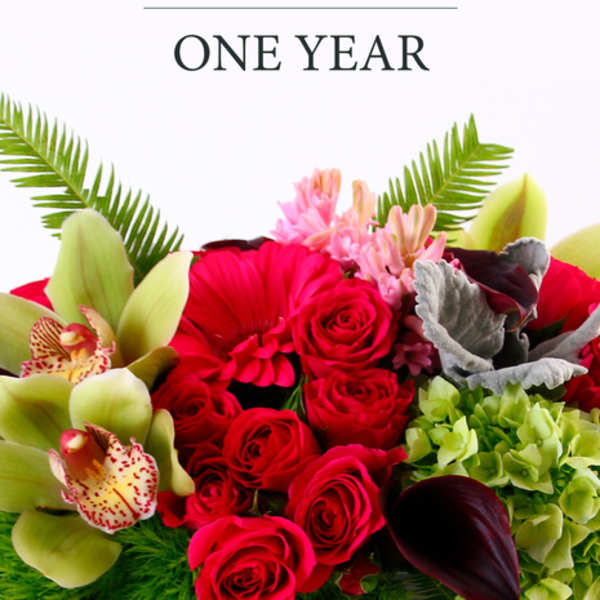 Bouquet of red roses, green orchids, and pink flowers