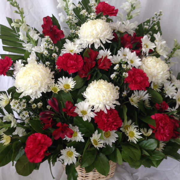 Basket arrangement of red and white flowers with daisies and chrysanthemums