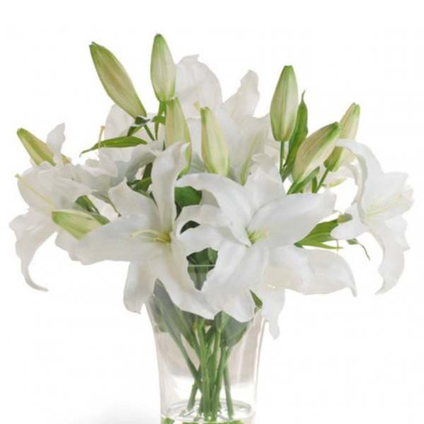 White lilies in a clear glass vase