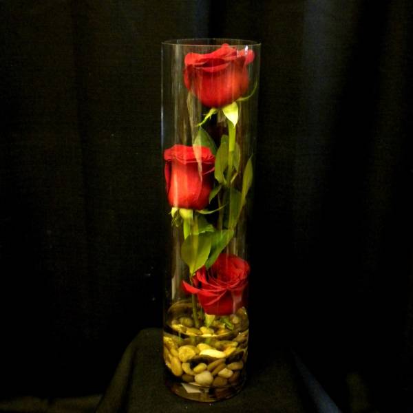 Three red roses in a tall glass cylinder vase with pebbles