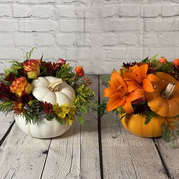 The Harvest Glory (Pumpkin colors)