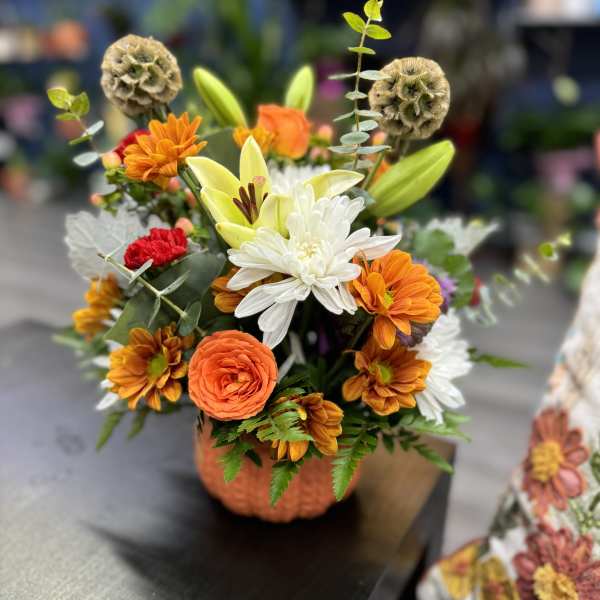 Pumpkin Blooms