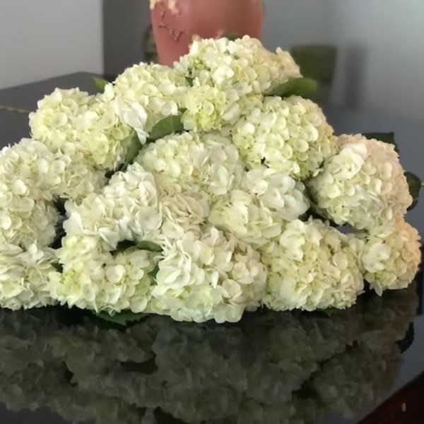 White Hydrangea Bouquet