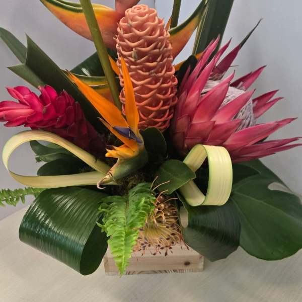 Tropical Flame Fusion by Art and Flowers