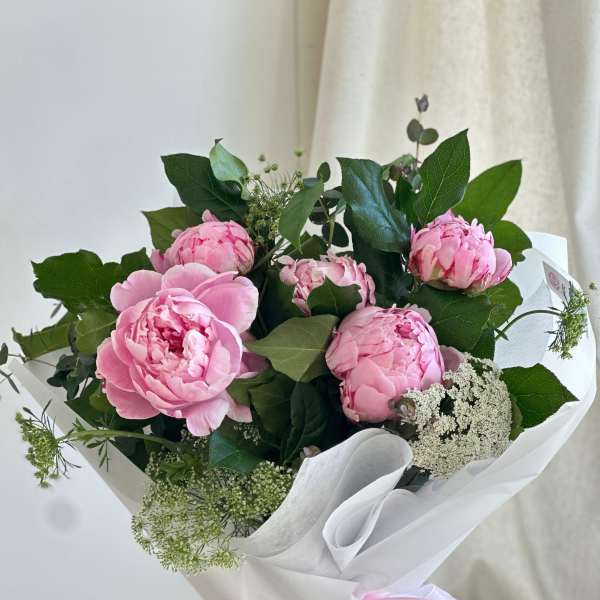 Peonias in Rosa