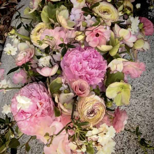 The Peony & Silk Collection