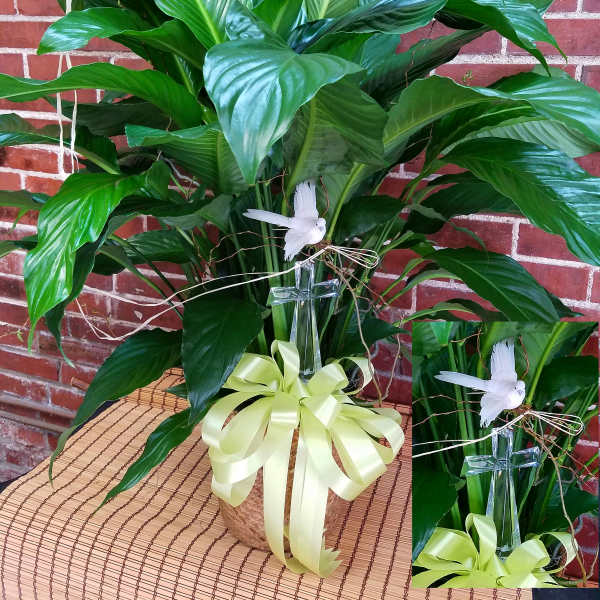 Large green potted plant with a white dove and clear cross decoration