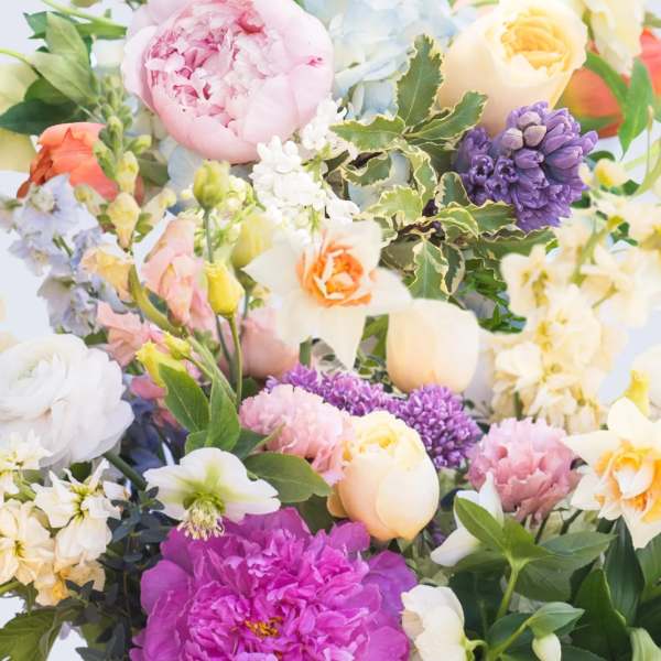 Spring Designer's Choice
