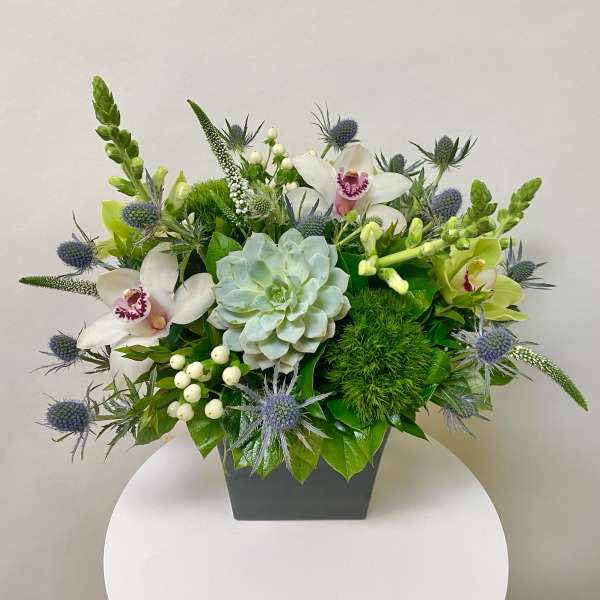 Mixed floral arrangement in a dark square vase with white orchids and a pale succulent