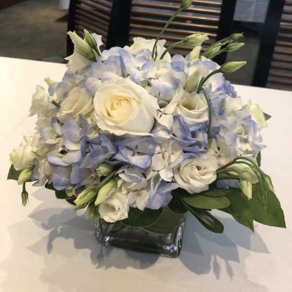White roses and pale blue hydrangeas in a square glass vase