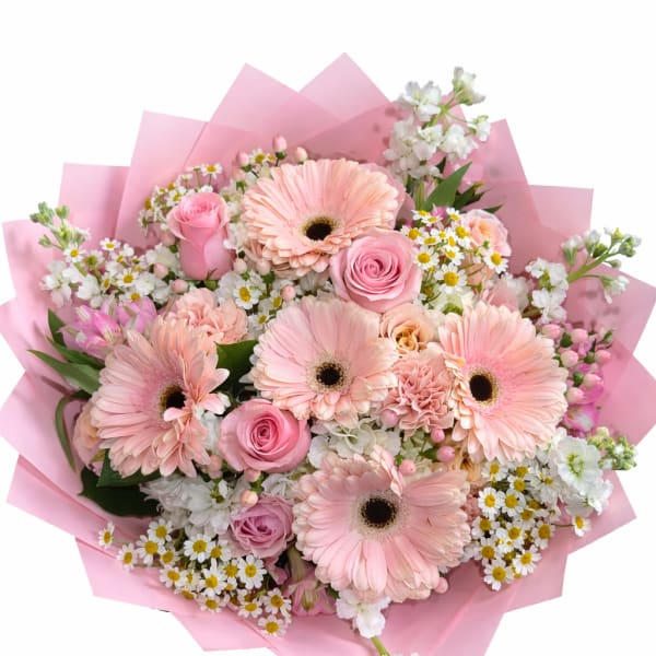 Blush and Bloom
