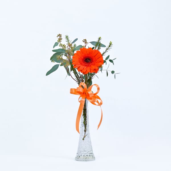 Orange gerbera daisy in a clear glass vase with an orange ribbon