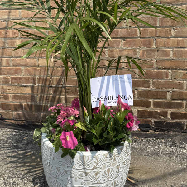 Aurelia Summer Planter