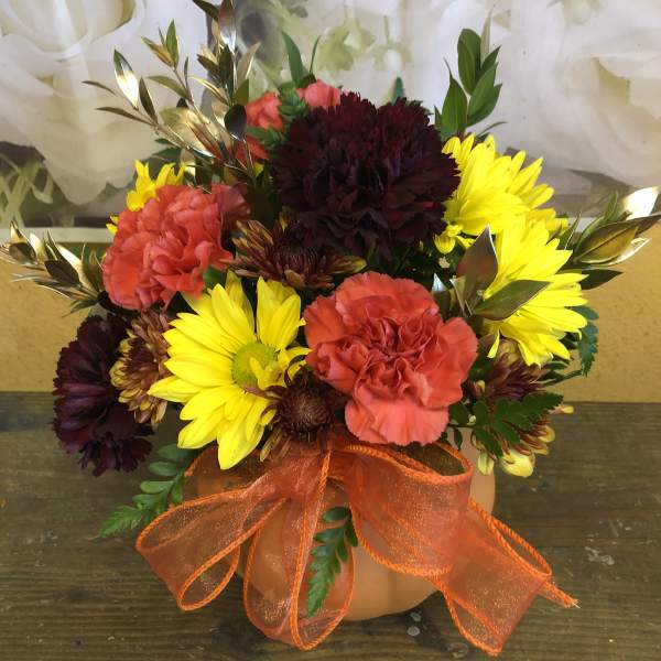 Pumpkins (Designer Choice)