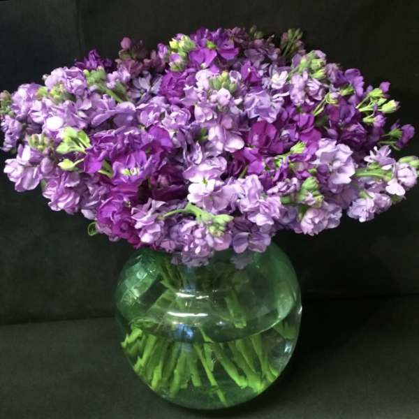 Purple flowers arranged in a round glass vase