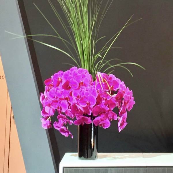 Bright pink orchid arrangement in a tall black vase with long grass-like stems