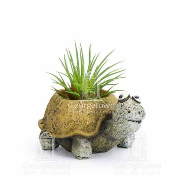 Small potted plant in a frog-shaped ceramic planter