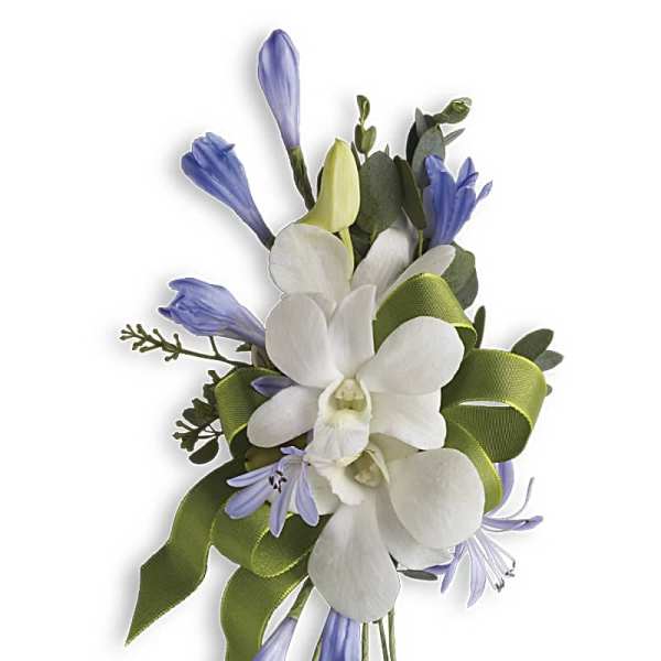 White orchid corsage with blue flowers and green ribbon