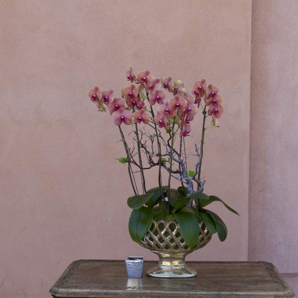 Pink orchid arrangement in a gold pedestal bowl on a table