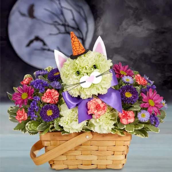 192440 Purrfect potion fabulous feline