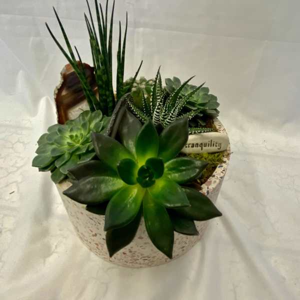 Succulent arrangement in a speckled round container with tall spiky leaves