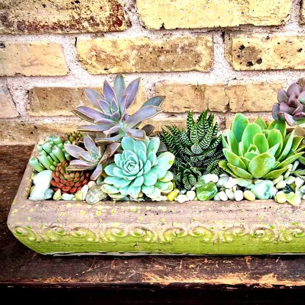 Rectangular planter filled with assorted succulents and pebbles