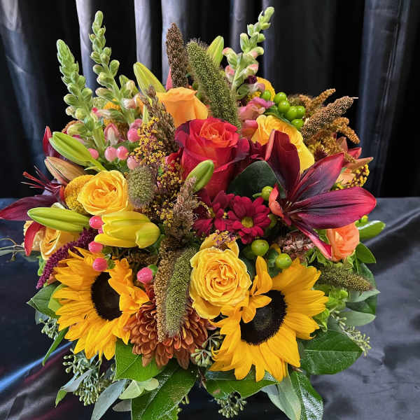 Autumn Surprise