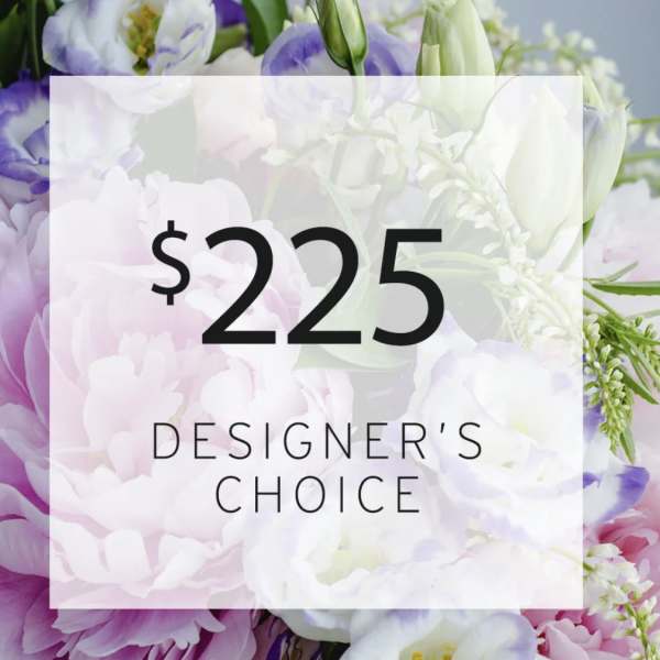 Designers Choice $225