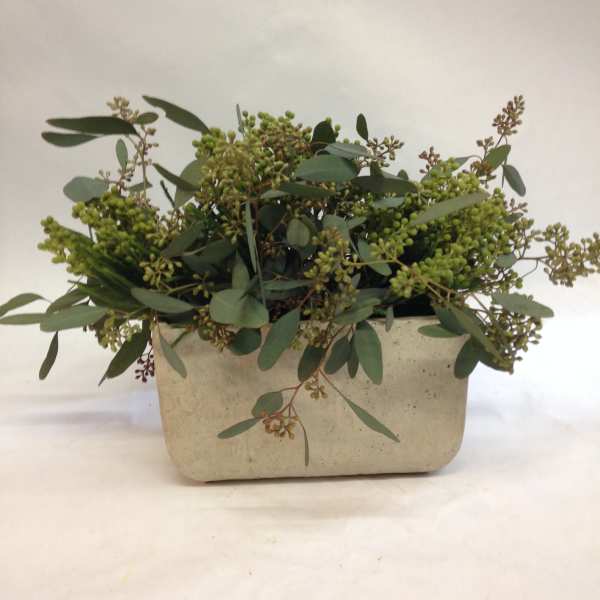 Green berry-like foliage in a rectangular stone planter