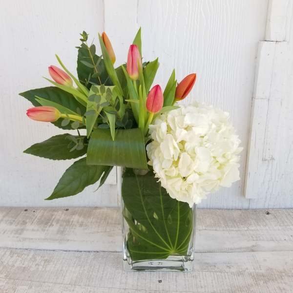 Tulips and a white hydrangea in a clear glass vase