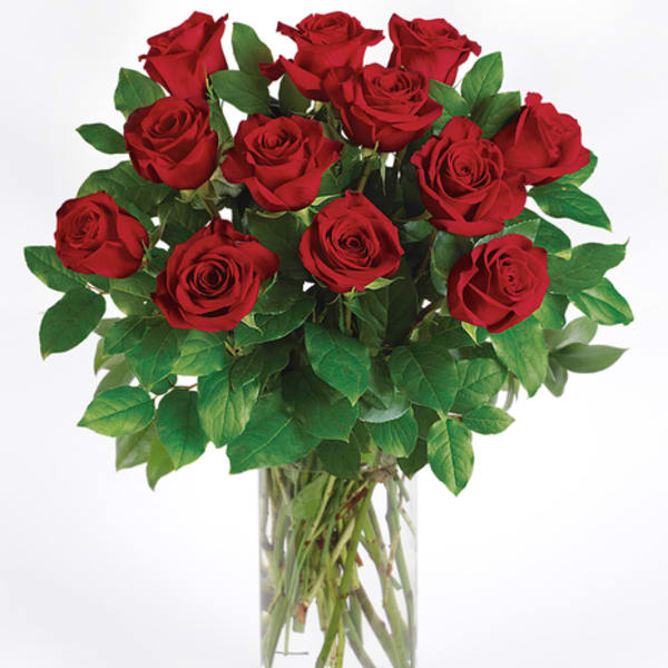 Arrangement of long-stemmed red roses in a tall clear glass vase