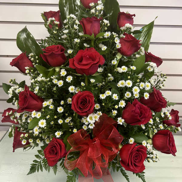 18 Roses Front Facing/18 Rosas de un Frente